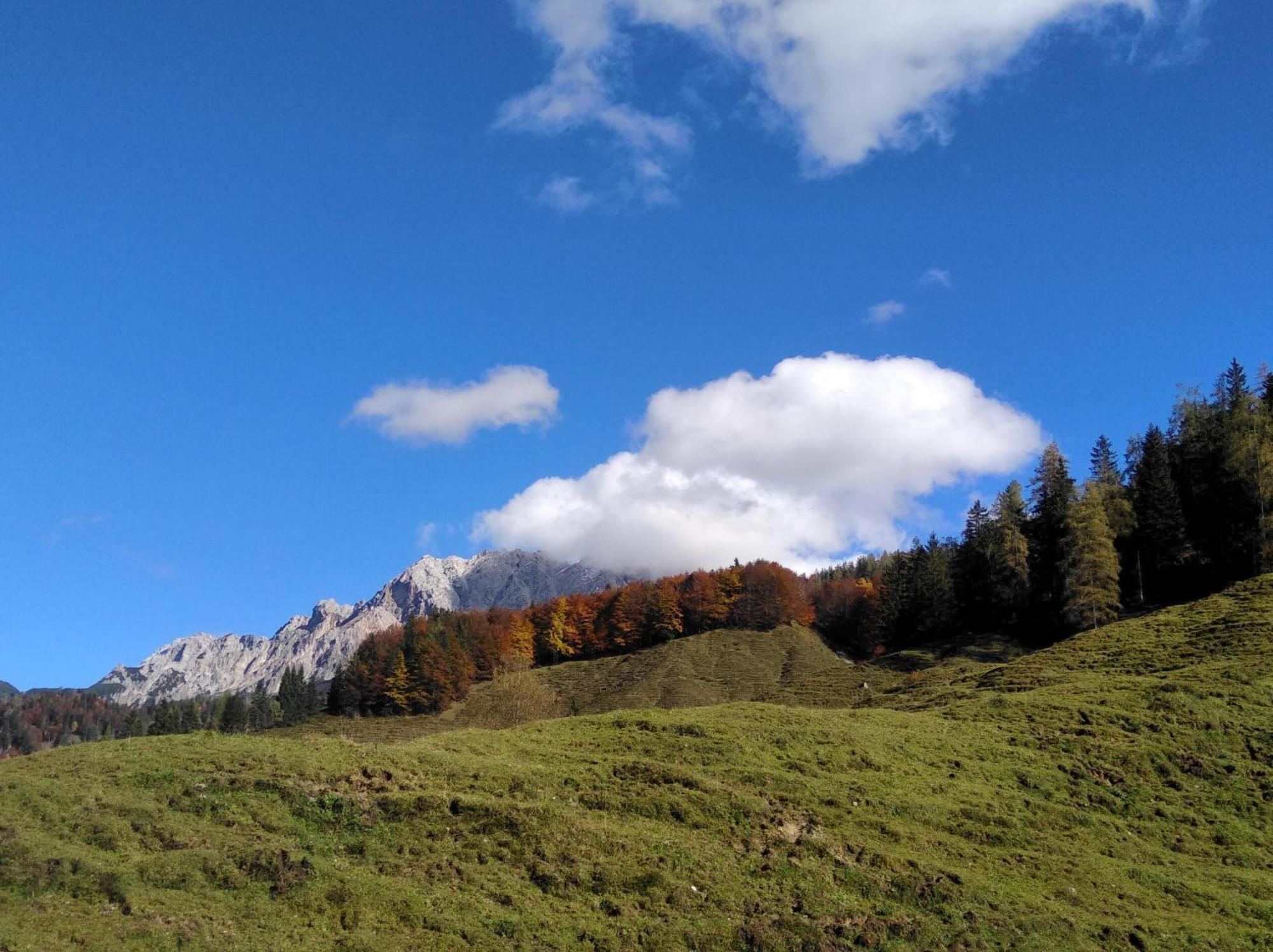 Ferienwohnungen Recherhof ฮอคฟิลเซิน ภายนอก รูปภาพ