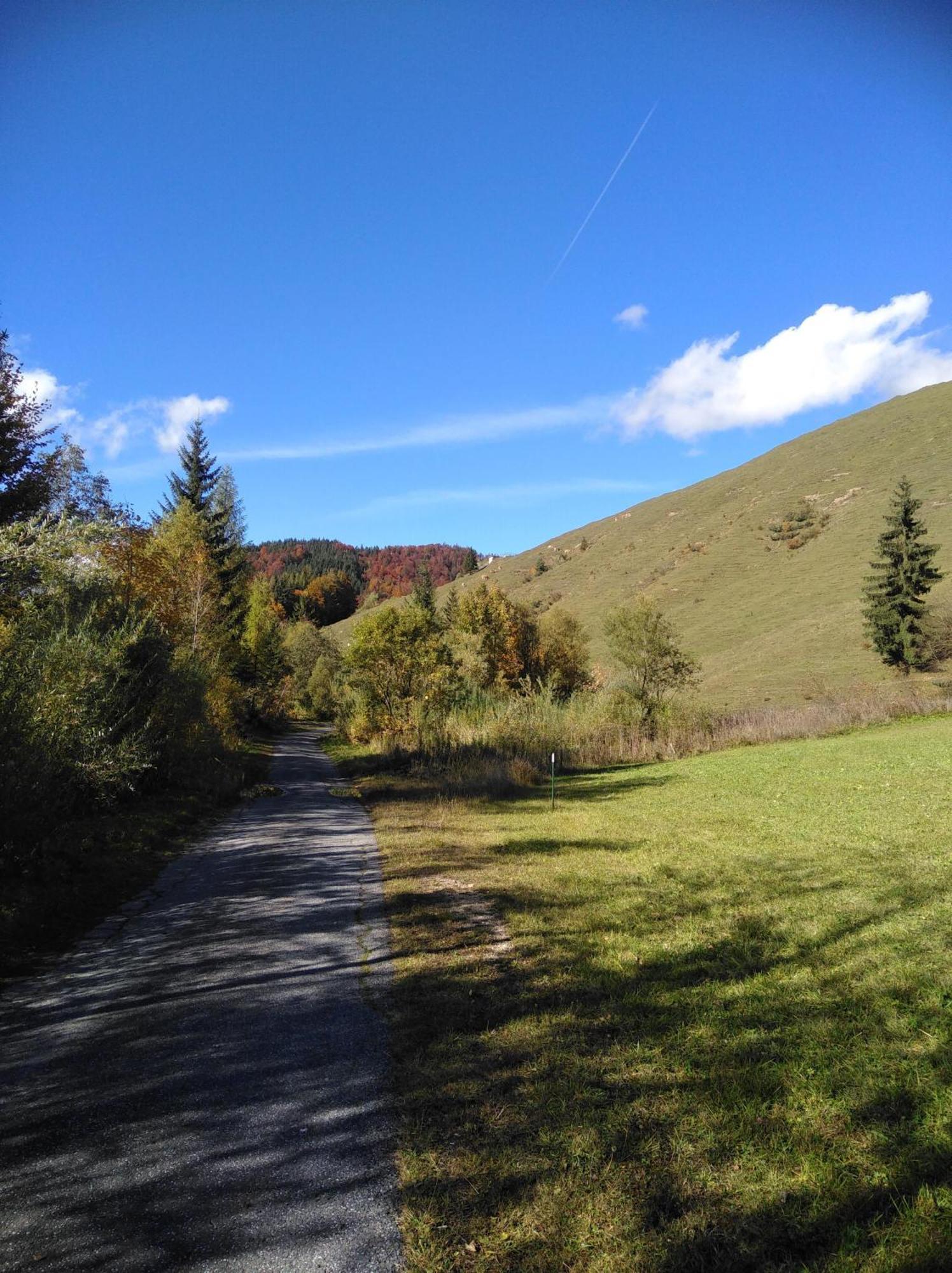 Ferienwohnungen Recherhof ฮอคฟิลเซิน ภายนอก รูปภาพ
